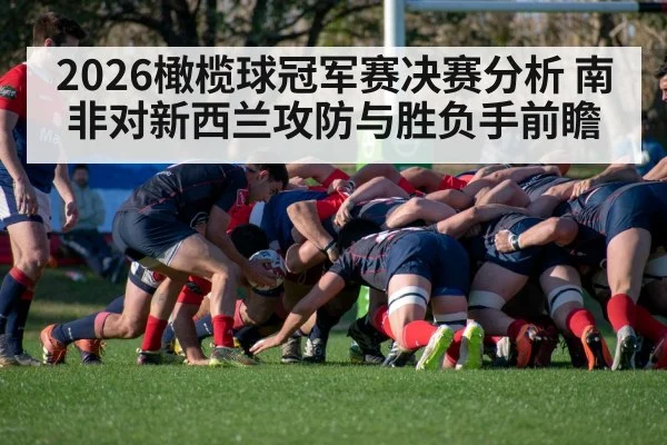 2026橄榄球冠军赛决赛分析 南非对新西兰攻防与胜负手前瞻